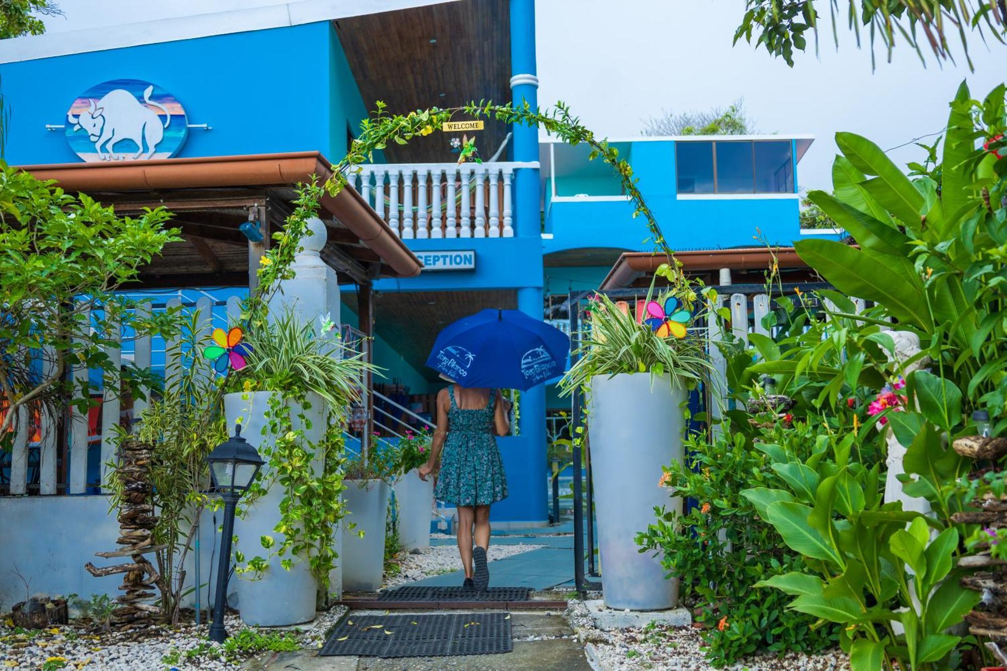 Aparthotel Toro Blanco Coco Exterior foto